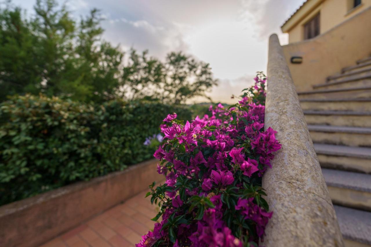 Amarena Apartment Olbia